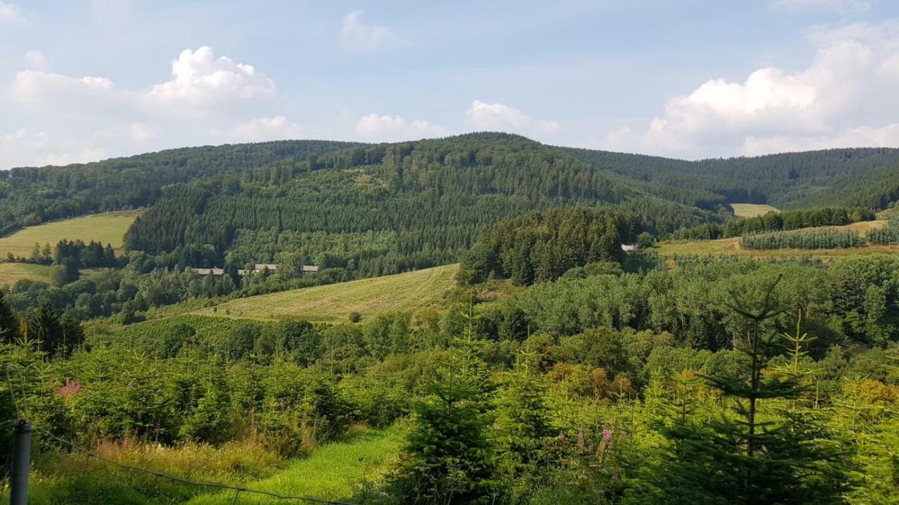Ferienwohnung " Bianco" Winterberg Buitenkant foto